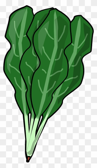Spinach Vegetable Food Clipart - Png Download