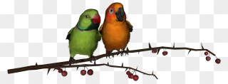 Transparent Parrots Clipart - Simple Love Bird Silhouette - Png Download