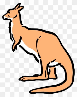 Vector Illustration Of Cartoon Australian Marsupial - Cartoon Kangaroo Clipart