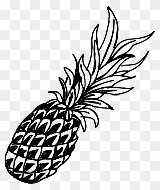 Blue Drawing Pineapple Transparent Png Clipart Free - Pineapple Drawing Png