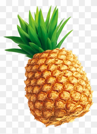 Tempting Pineapple Png Download - Pineapple Illustration Png Clipart