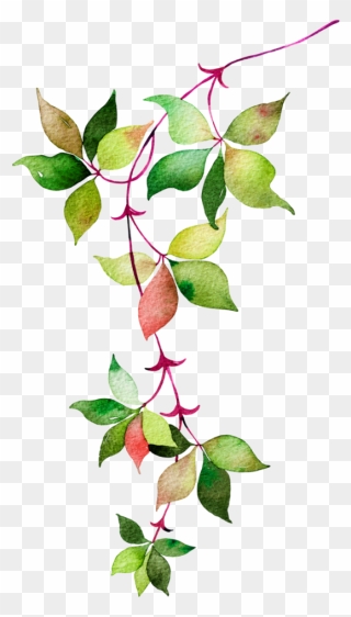 Watercolor Leaf Design Png Clipart