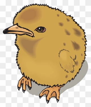 Baby, Farm, Bird, Chick, Animal, Fuzzy - Fuzzy Clipart - Png Download