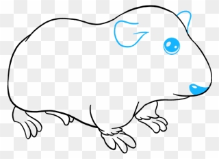 How To Draw Guinea Pig - Draw A Guinea Pig Step Clipart