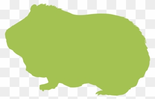 Guinea Pigs » - Transparent Guinea Pig Silhouette Clipart