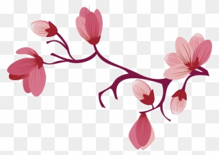 Sakura Png - Sakura Flower Png Clipart