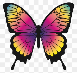 Colourful Butterfly Clipart - Crying Butterfly - Png Download