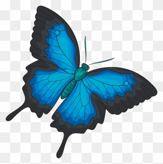 Ulysses Butterfly Clipart - Ulysses Butterfly - Png Download