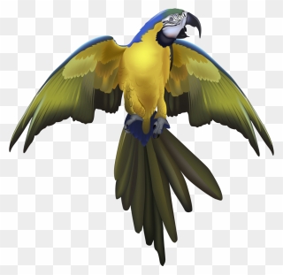 Macaw With Spreaded Wings Clipart