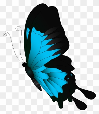 Butterfly Clip Art - Transparent Background Butterfly Clipart - Png Download