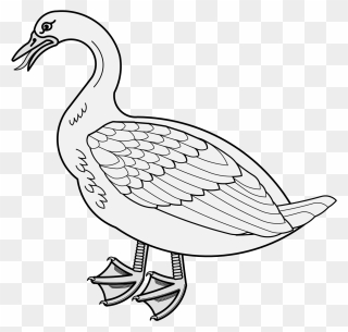 Duck , Png Download - Goose Clipart