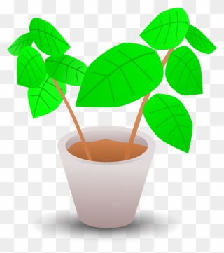 Plant In Pot Clipart - Png Download