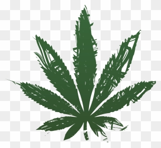 Transparent Medical Marijuana Png - Transparent Background Cannabis Leaf Png Clipart
