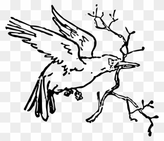 Carrying A Branch - Bird With Twig Clipart In Black N White - Png Download