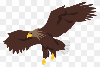 Eagle Bird Clipart - ワシ イラスト フリー - Png Download
