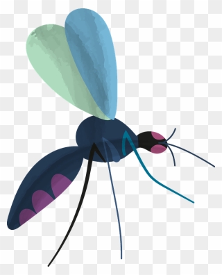 Mosquito Clipart - Net-winged Insects - Png Download