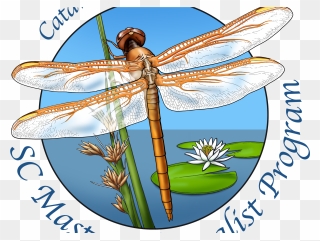 South Carolina Master Naturalist Clipart
