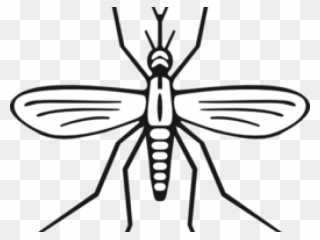 Mosquito Clipart - Png Download