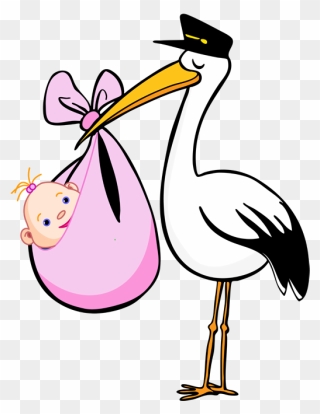 Stork Vector Clipart - Baby Girl Stork Clipart - Png Download