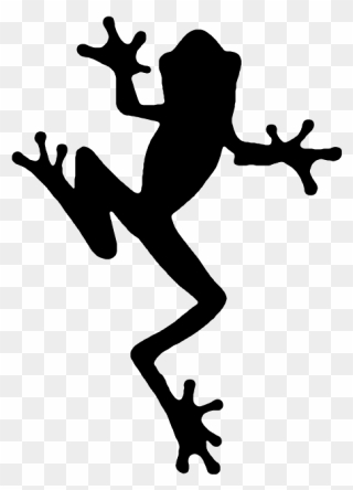 Frog Silhouette Clip Art - Tree Frog Silhouette - Png Download