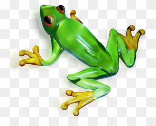 Frog Clipart Picture - Tree Frog Transparent Background - Png Download