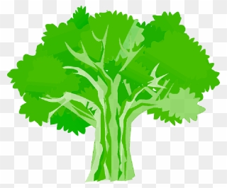 Tree, Environment, Ecology, Nature, Plant - Oak Tree Clipart - Png Download
