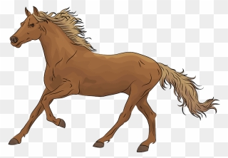 Horse Clipart - Caballo Clipart - Png Download