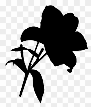 Clip Art Leaf Silhouette Plant Stem Flowering Plant - Silhouette - Png Download