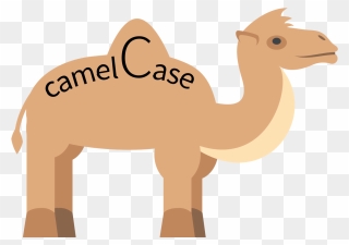 Camel Case Clipart