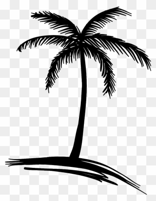 Logo Drawing Beach - Drawing Clipart Coconut Tree - Png Download