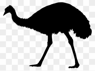 Common Ostrich Emu War Silhouette Bird - Silhouette Drawing Emu Clipart