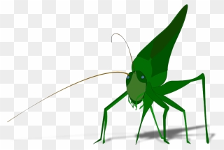 Grasshopper With Shadow Small Clipart 300pixel Size, - Grasshopper Clipart - Png Download