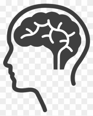 Brain Png Grey Clipart