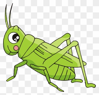 Insects Clipart Insect Grasshopper - Dibujos Animados De Un Grillo - Png Download