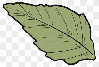 Sunflower Leaf Clipart - Png Download