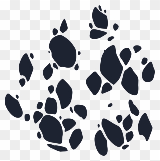 Paw,black,black And White - Clip Art - Png Download