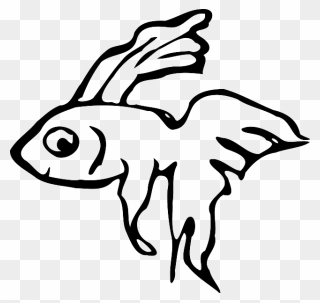 Ornamental Fish, Fish, Animal, Aquarium, Swimming - Beta Fish Clip Art - Png Download
