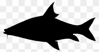 Shark Clip Art Fauna Silhouette Marine Mammal - Png Download