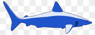 Tiburon - Sea Animals Png Clipart