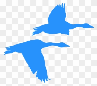 Flying Geese Clipart