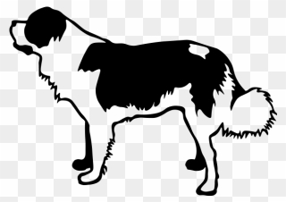 St - Bernard - Companion Dog Clipart