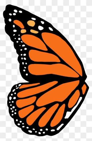 Monarch Butterfly Wing Template Clipart