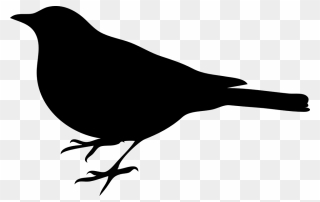 Northern Mockingbird To Kill A Mockingbird Clip Art - Bird Silhouette Clip Art - Png Download