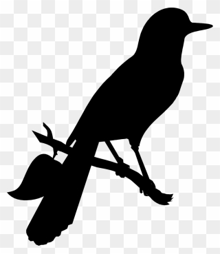 American Crow Clip Art Advertising Fauna Silhouette - Mockinbird Transparent - Png Download