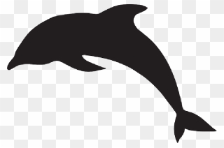 Water, Silhouette, Dolphin, Jumping, Animal, Fins - Dolphin Clipart Black - Png Download