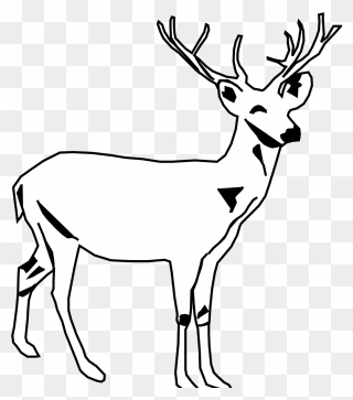 Deer Clip Art - Png Download