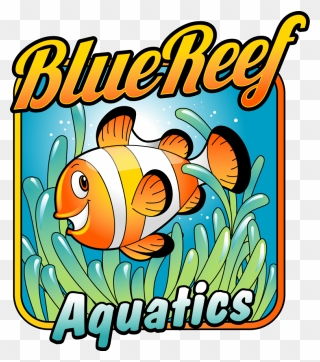 Coral Reef Fish Clipart