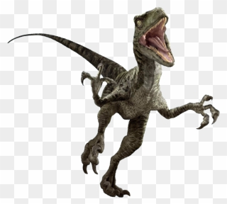 Collection Of Free Velociraptor Drawing Jurassic Park - Jurassic World Velociraptor Charlie Clipart