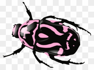 Transparent Bullfighting Clipart - Bug Black And White - Png Download