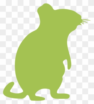 Other Rodents » - Rat Clipart